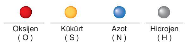 sik gorseli