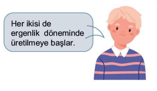 sik gorseli