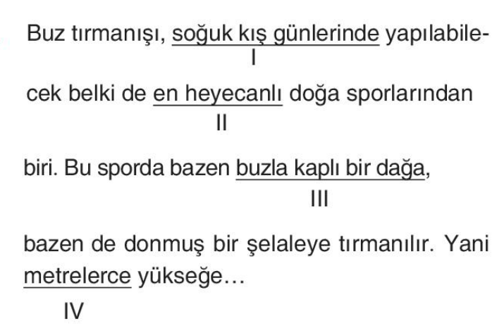 soru gorseli