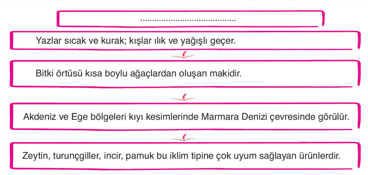 soru gorseli