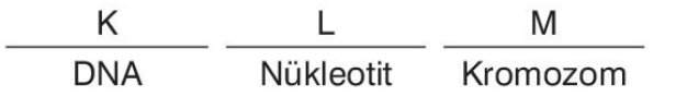 sik gorseli