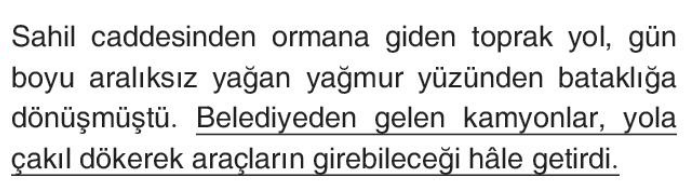 soru gorseli