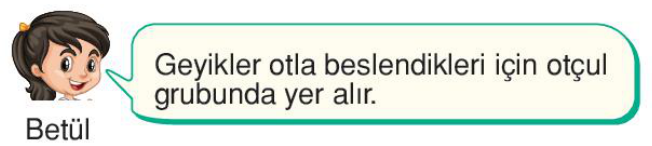 sik gorseli