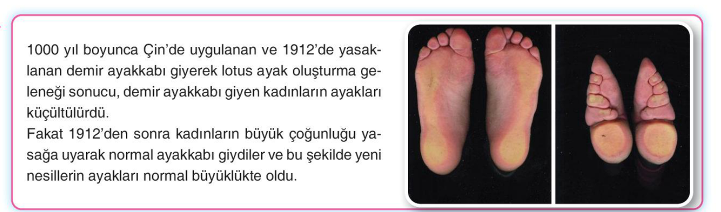 soru gorseli