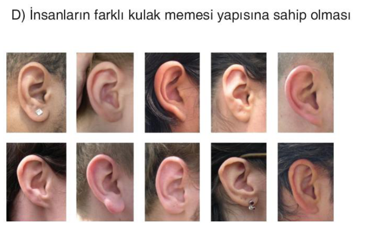 sik gorseli