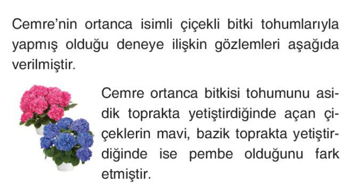 soru gorseli