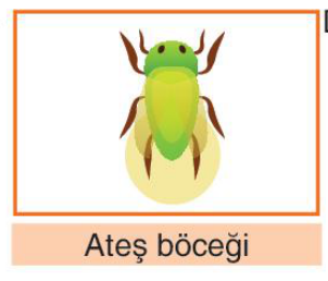 sik gorseli
