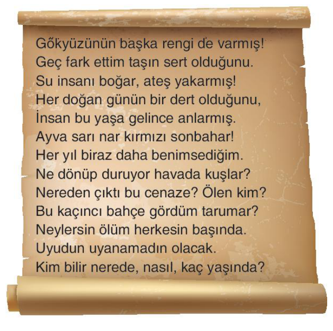 soru gorseli