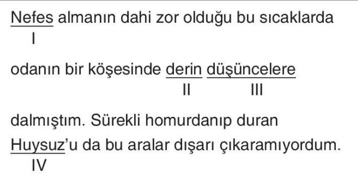 soru gorseli
