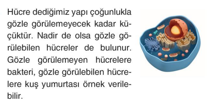 soru gorseli