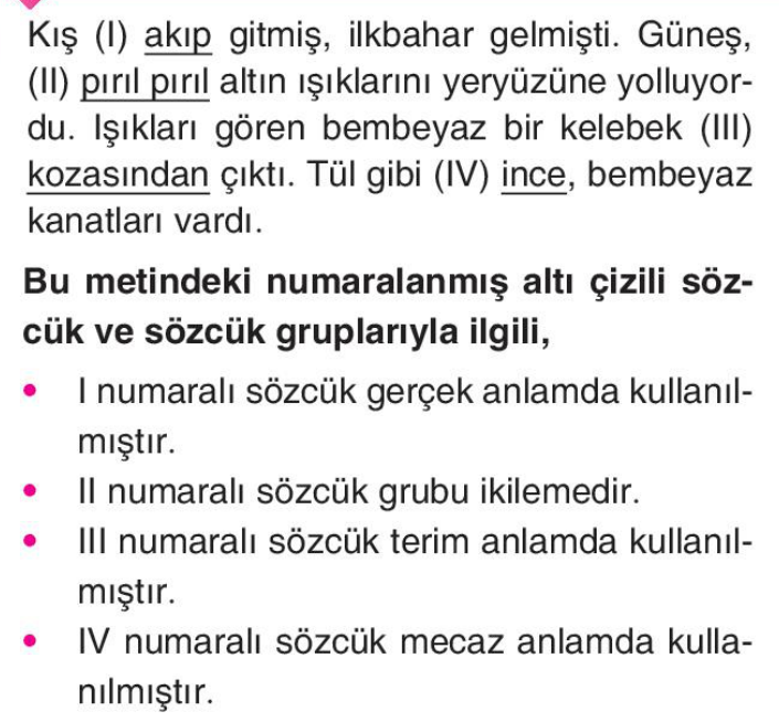soru gorseli
