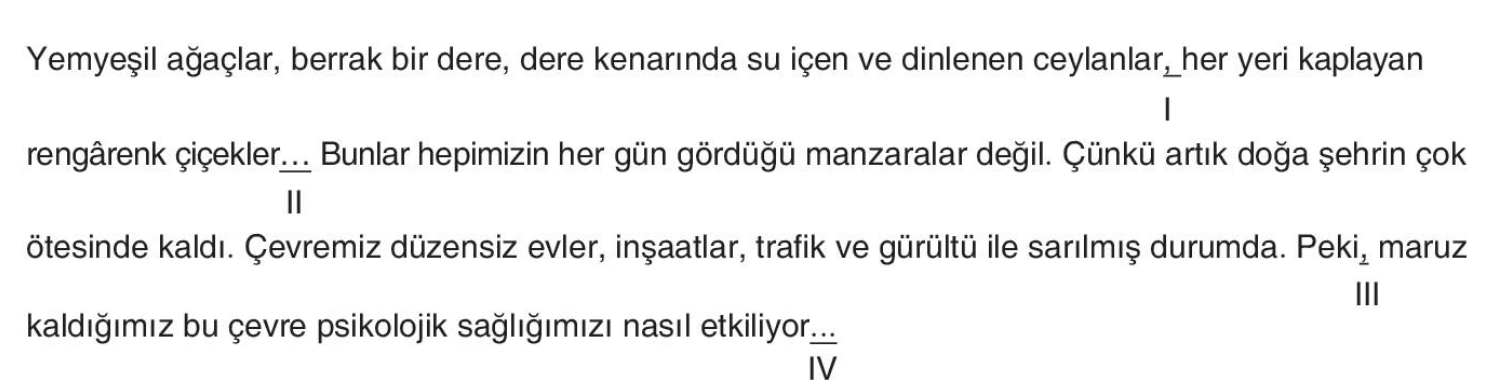 soru gorseli