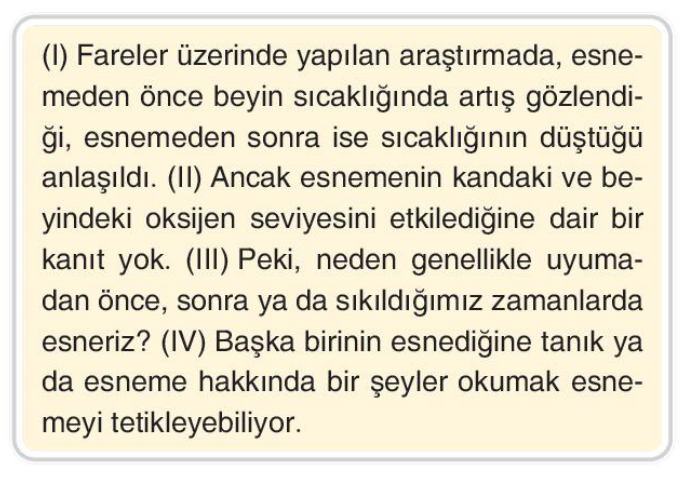 soru gorseli