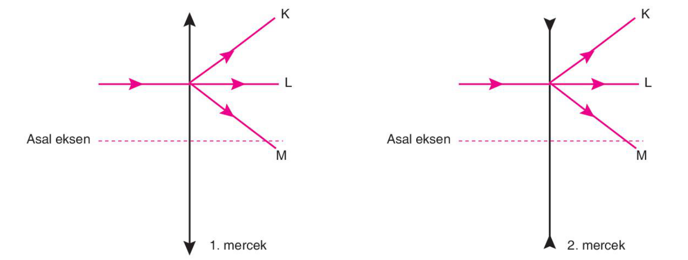 soru gorseli