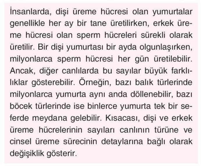 soru gorseli