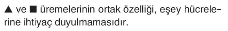 sik gorseli