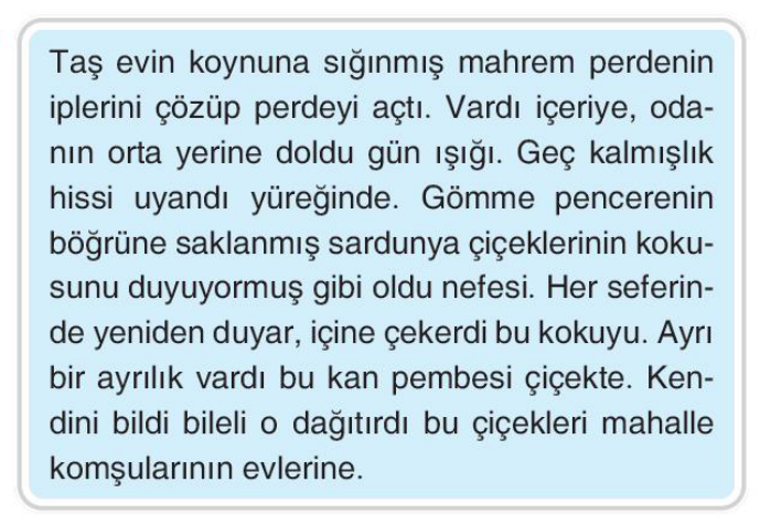 soru gorseli