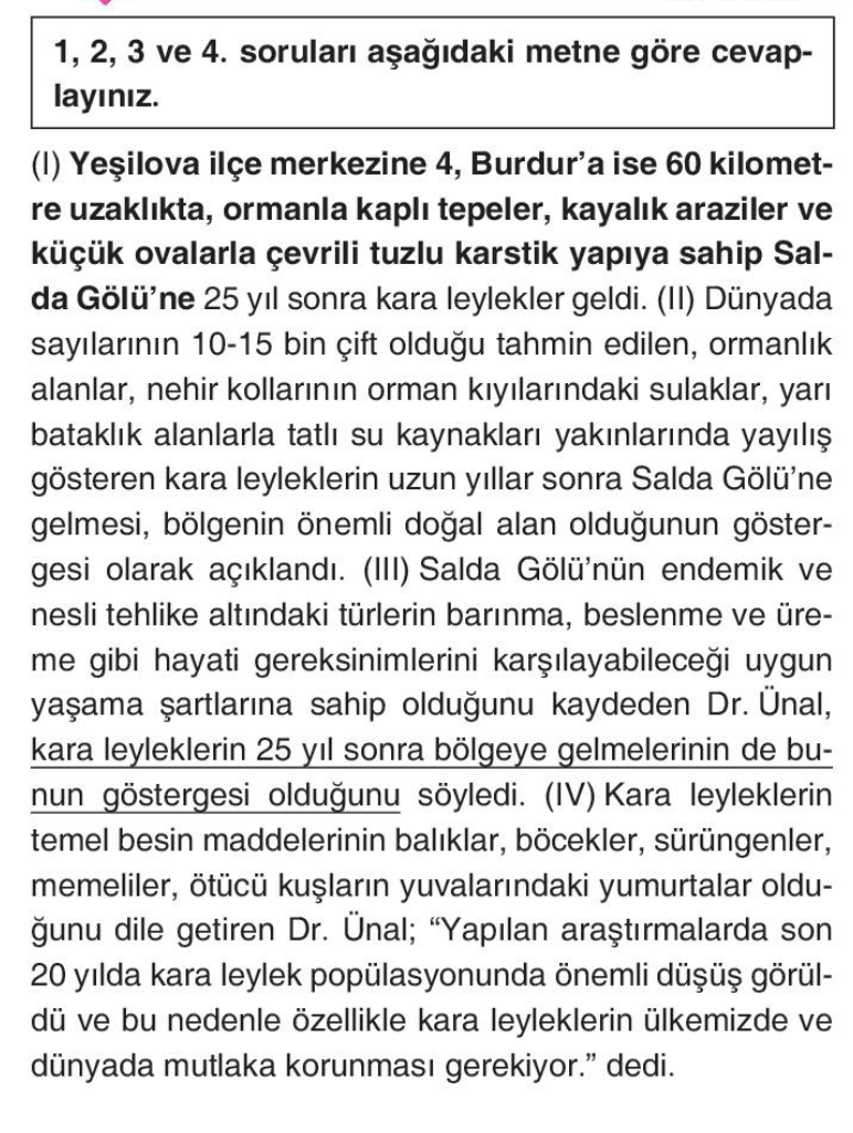 soru gorseli