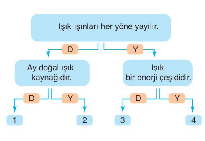 soru gorseli