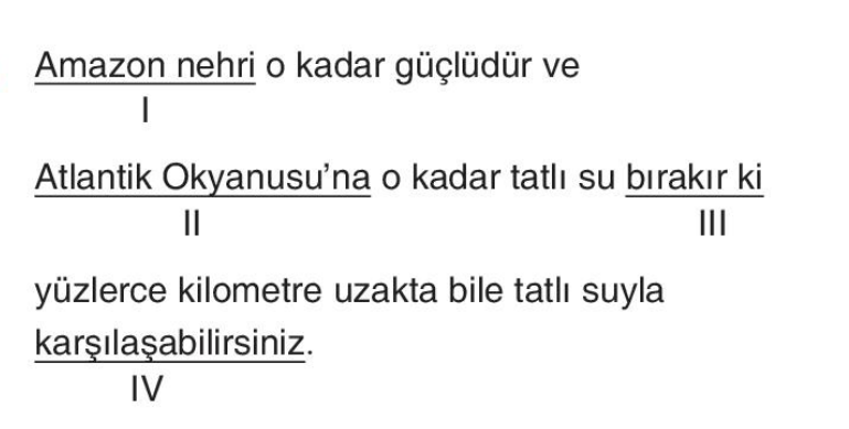 soru gorseli