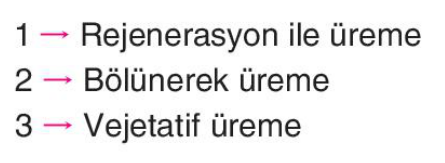 sik gorseli