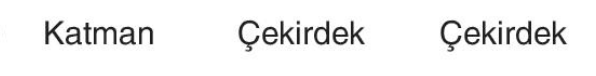 sik gorseli