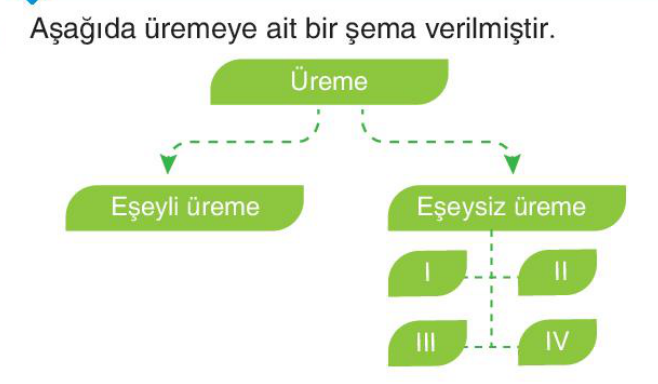 soru gorseli