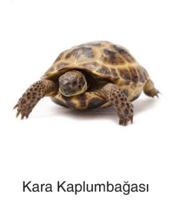 sik gorseli