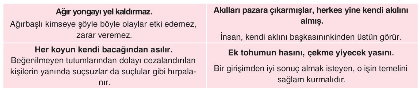 soru gorseli