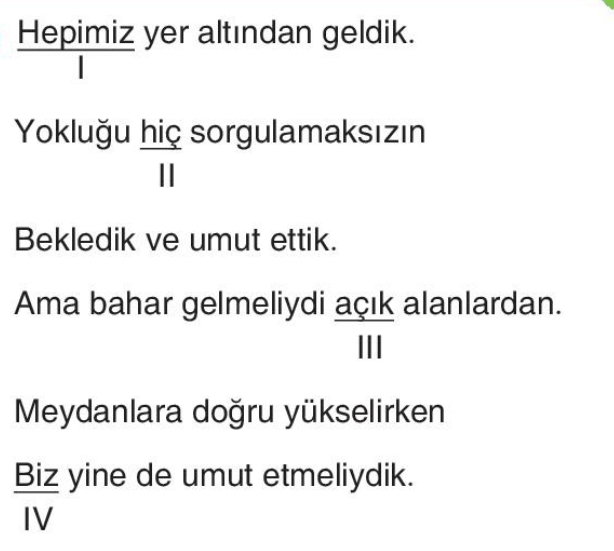 soru gorseli