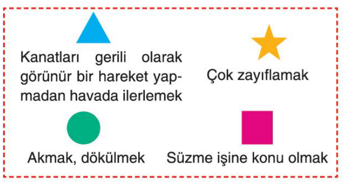 soru gorseli