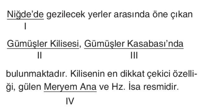 soru gorseli