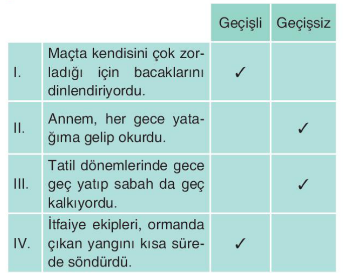 soru gorseli
