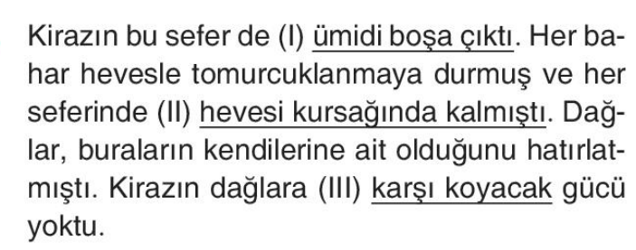 soru gorseli