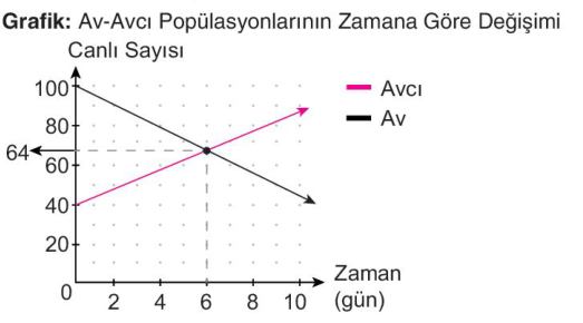 soru gorseli