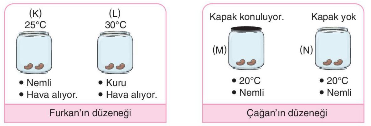 soru gorseli