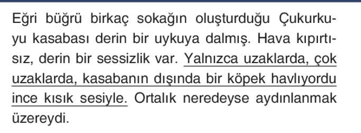 soru gorseli