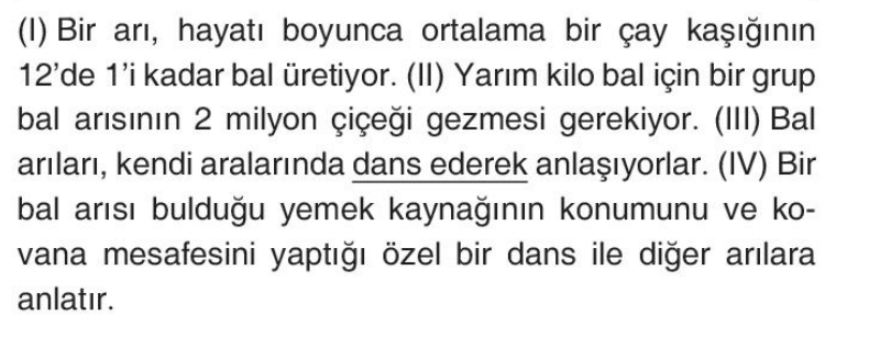 soru gorseli