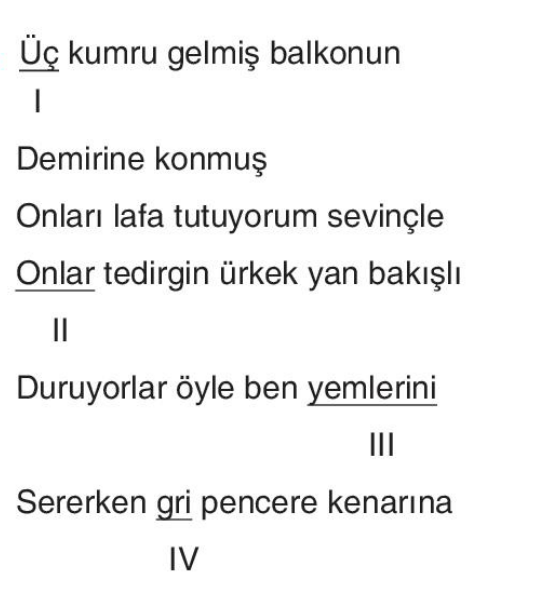 soru gorseli