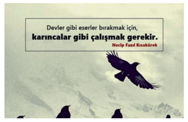 sik gorseli