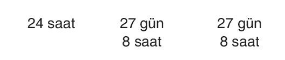 sik gorseli