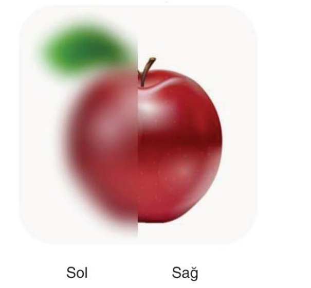soru gorseli