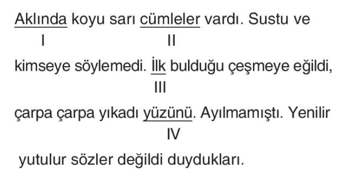 soru gorseli