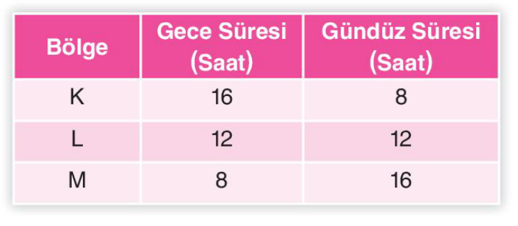 soru gorseli