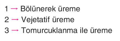 sik gorseli