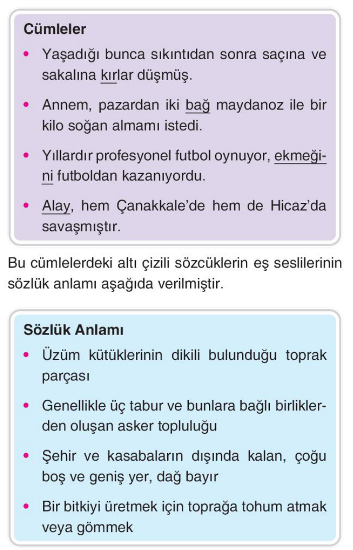 soru gorseli