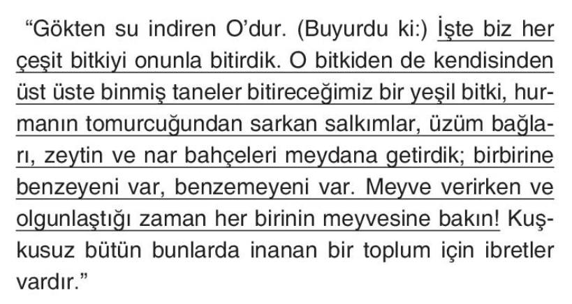 soru gorseli