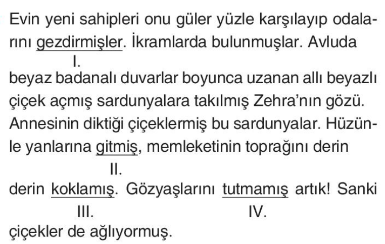 soru gorseli