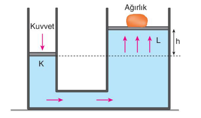 soru gorseli