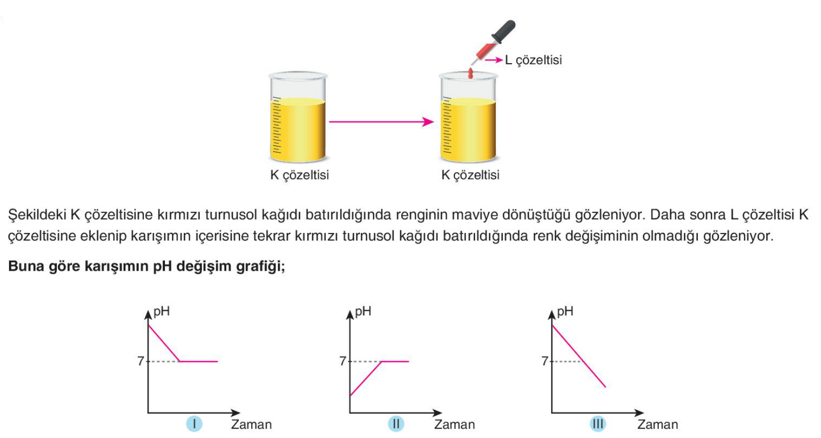 soru gorseli